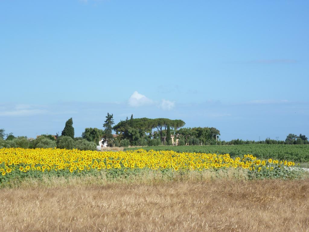 Casa Vacanze Vignarca - Localita Perelli Riotorto Exteriér fotografie