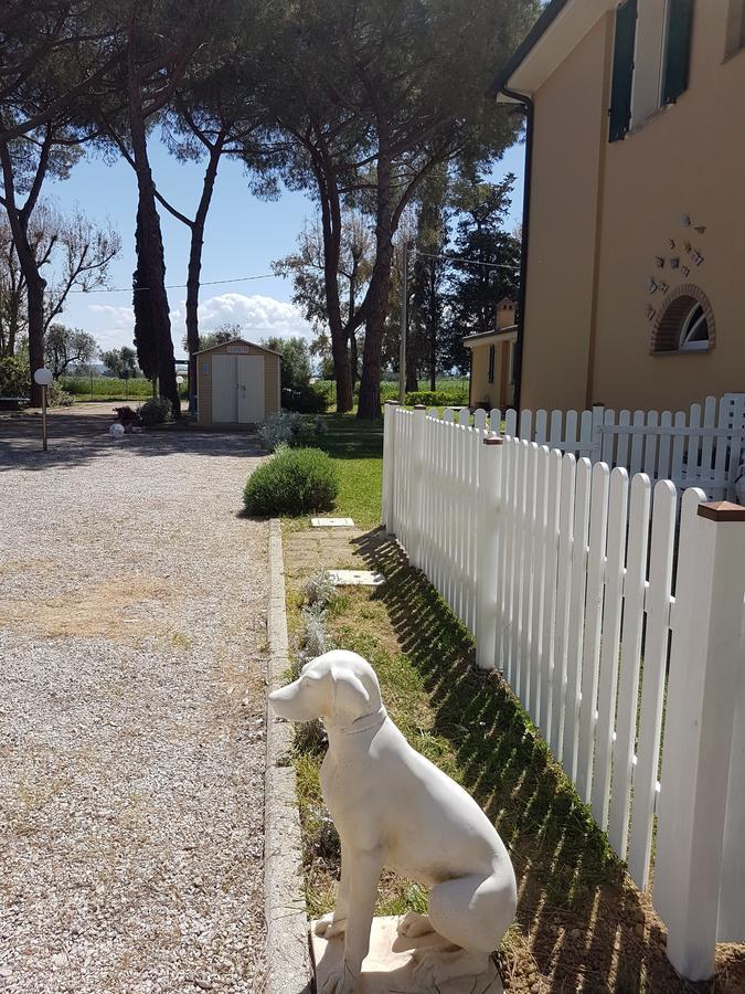 Casa Vacanze Vignarca - Localita Perelli Riotorto Exteriér fotografie